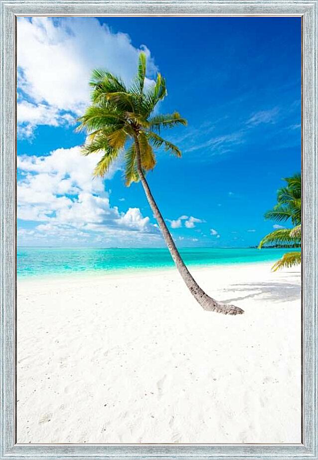 Картина - Кокосовая пальма