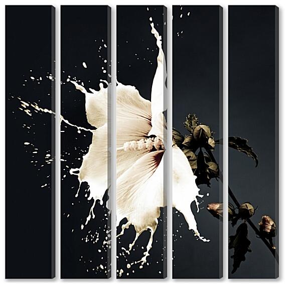 Модульная картина - Цветок белый с брызгами