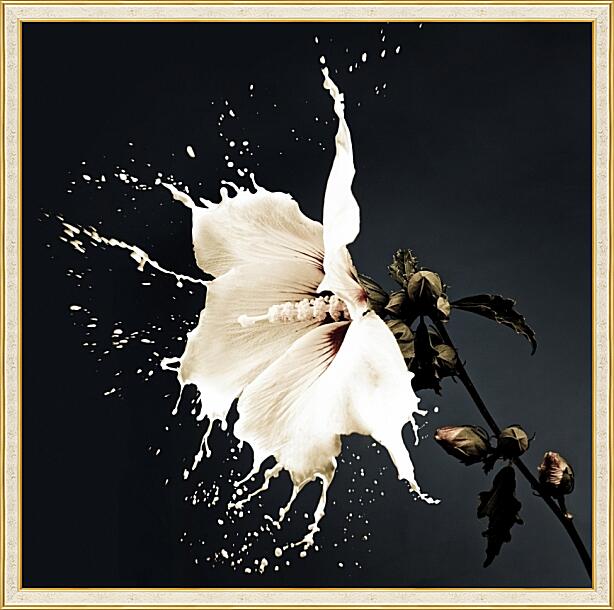 Картина - Цветок белый с брызгами