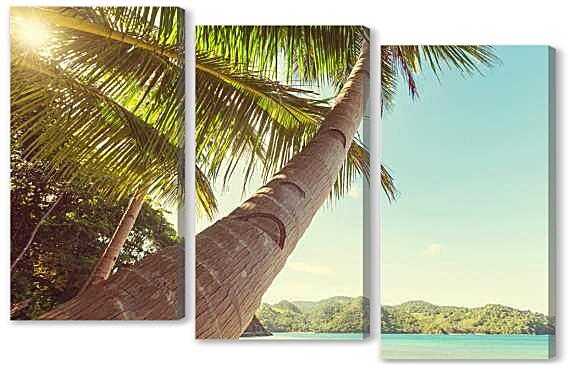 Модульная картина - Тропический пляж