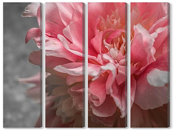 Модульная картина - Пион