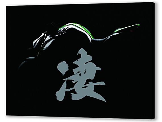 Картина маслом - Kawasaki z1000