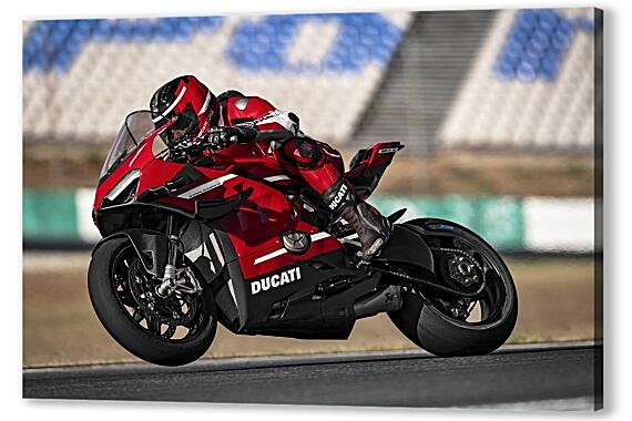Картина маслом - Ducati