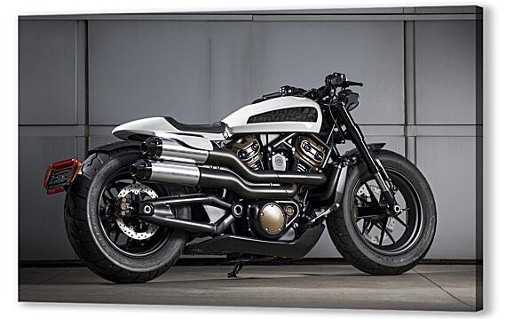 Sportster 2021