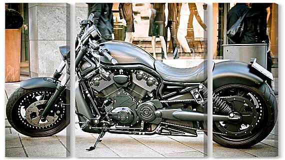 Модульная картина - Harley Davidson