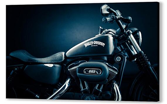 Harley Davidson