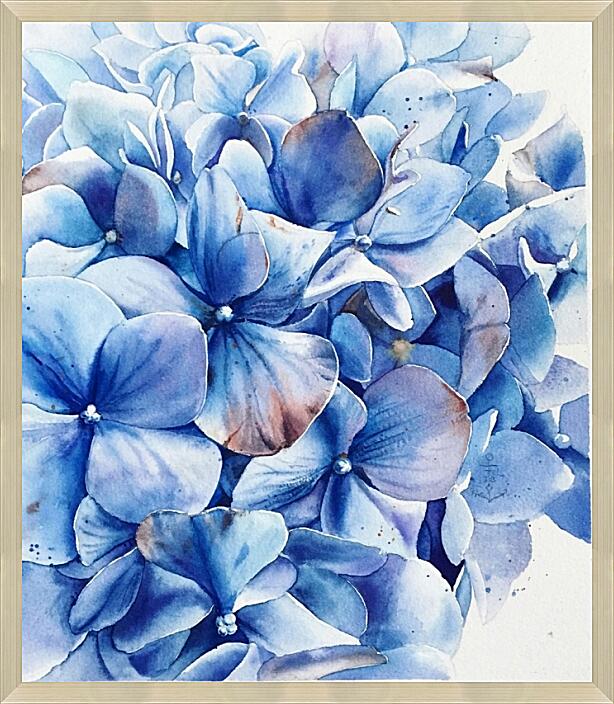 Картина - Голубая гортензия акварель