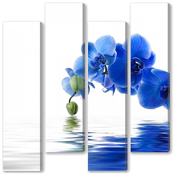 Модульная картина - Орхидея фаленопсис синяя