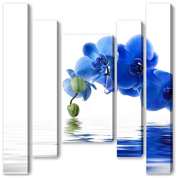 Модульная картина - Орхидея фаленопсис синяя