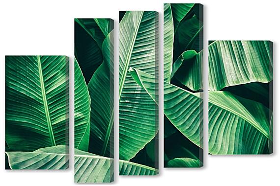Модульная картина - Пальмовые листья