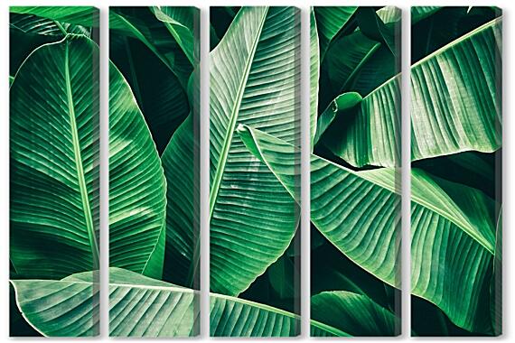 Модульная картина - Пальмовые листья
