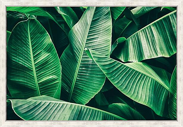 Картина - Пальмовые листья