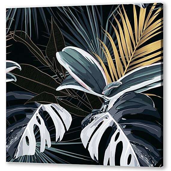 Monstera