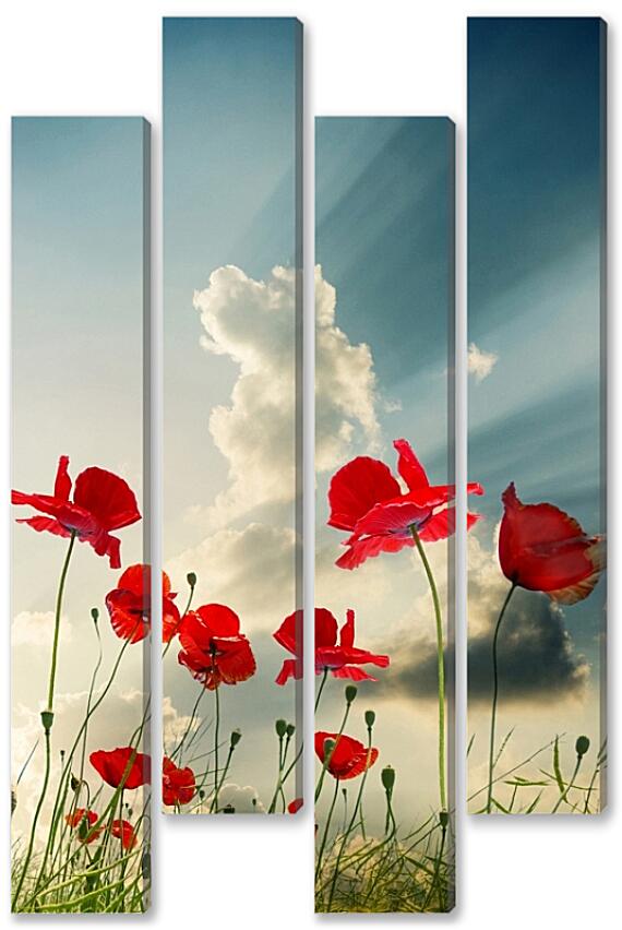 Модульная картина - Маки на закате
