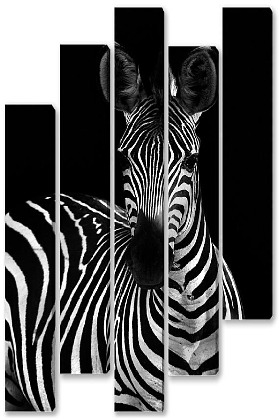 Модульная картина - Зебра