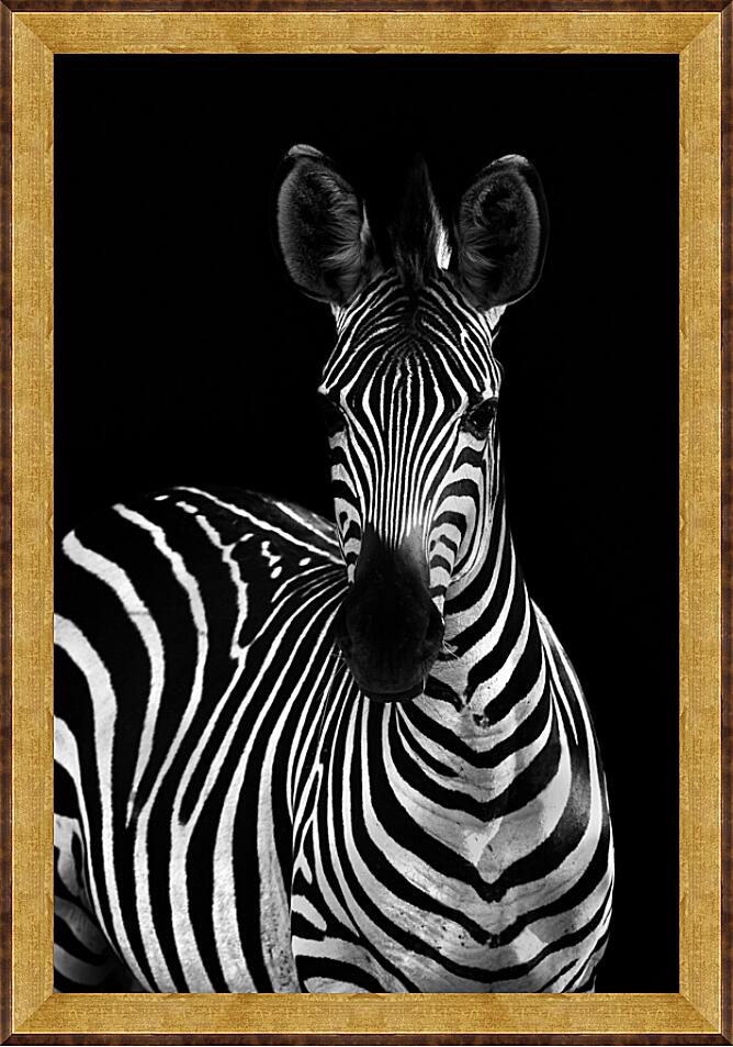Картина - Зебра