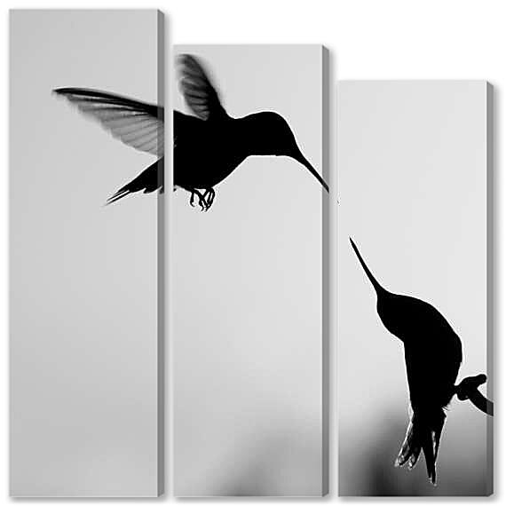 Модульная картина - Колибри