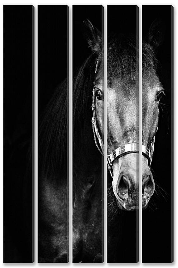 Модульная картина - Чёрно-белая лошадь