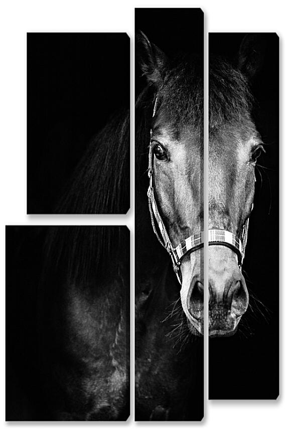 Модульная картина - Чёрно-белая лошадь