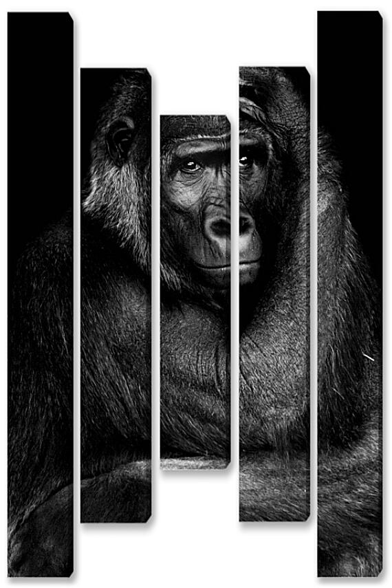 Модульная картина - Горилла