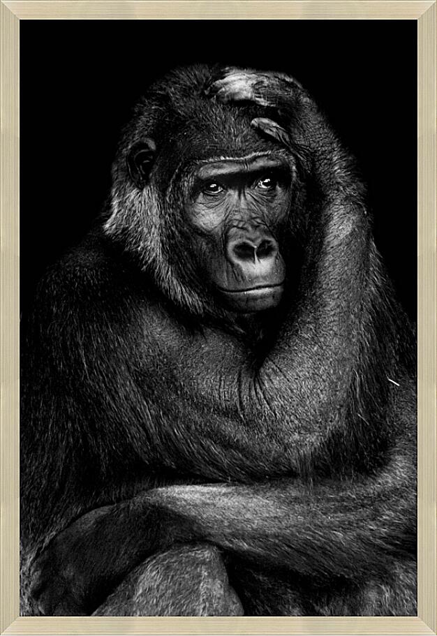 Картина - Горилла