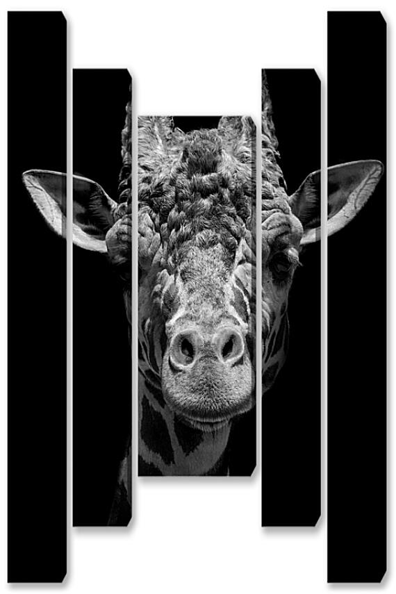 Модульная картина - Жираф