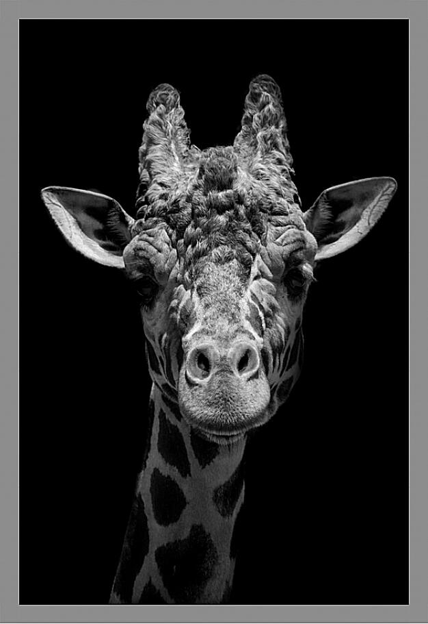 Картина - Жираф