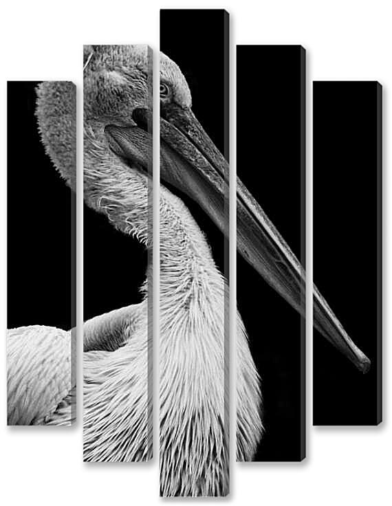 Модульная картина - Пеликан птица