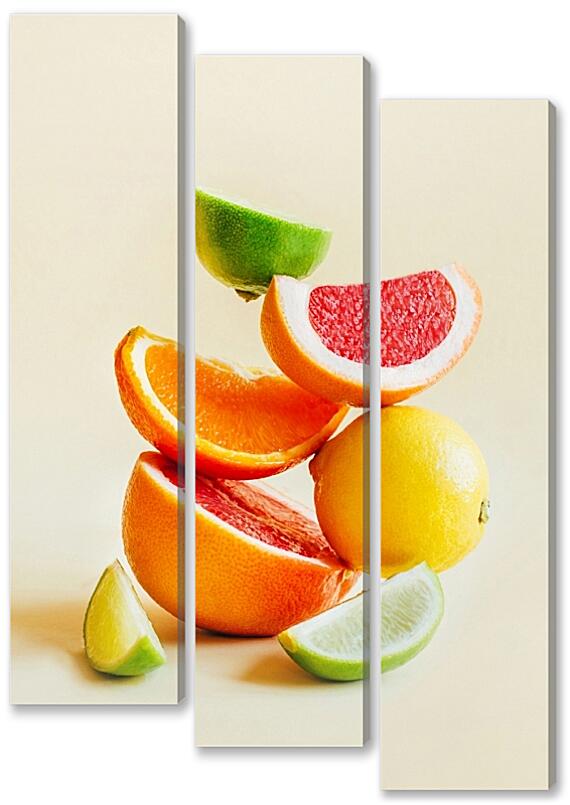 Модульная картина - Цитрус фрукты