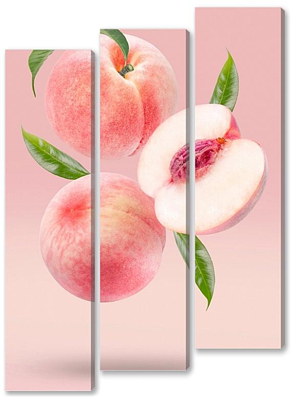 Модульная картина - Розовый персик