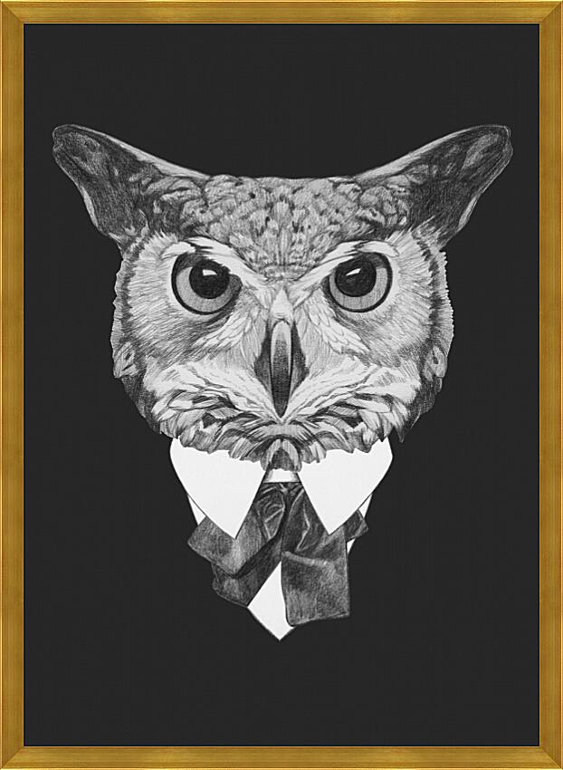 Картина - Сова в костюме №4