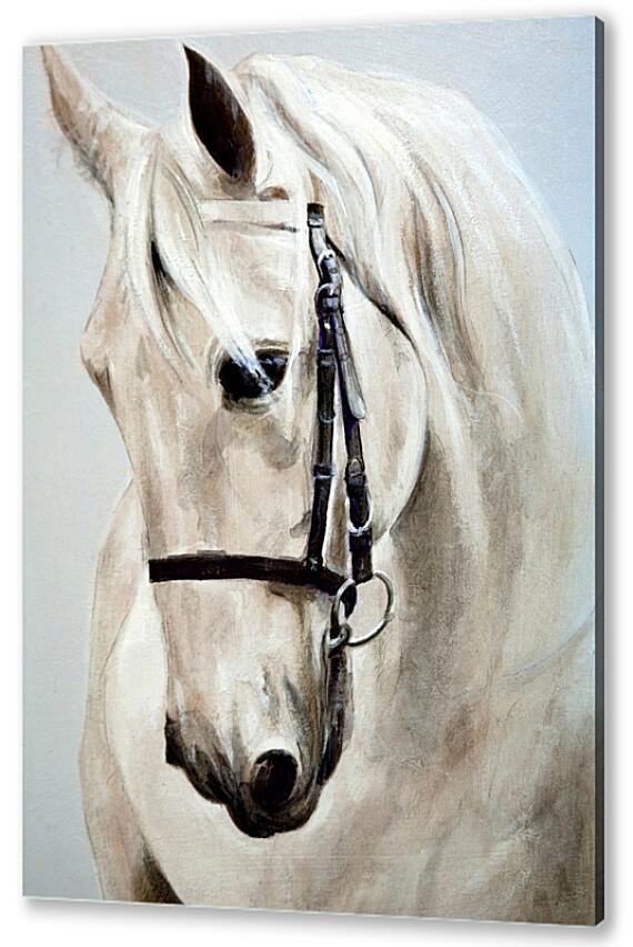 Картина маслом - Морда белой лошади