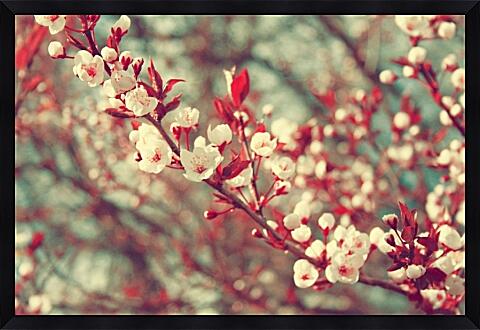 Картина - Весна