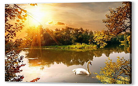 Картина маслом - Осень. Лебедь на воде