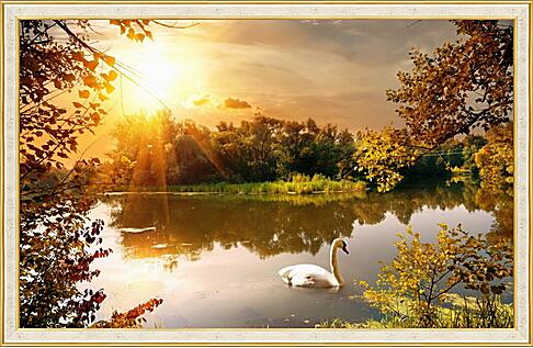 Картина - Осень. Лебедь на воде