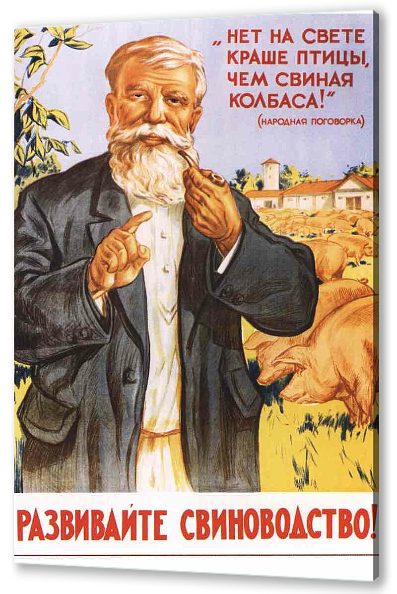 Постер (плакат) - Развивайте свиноводство