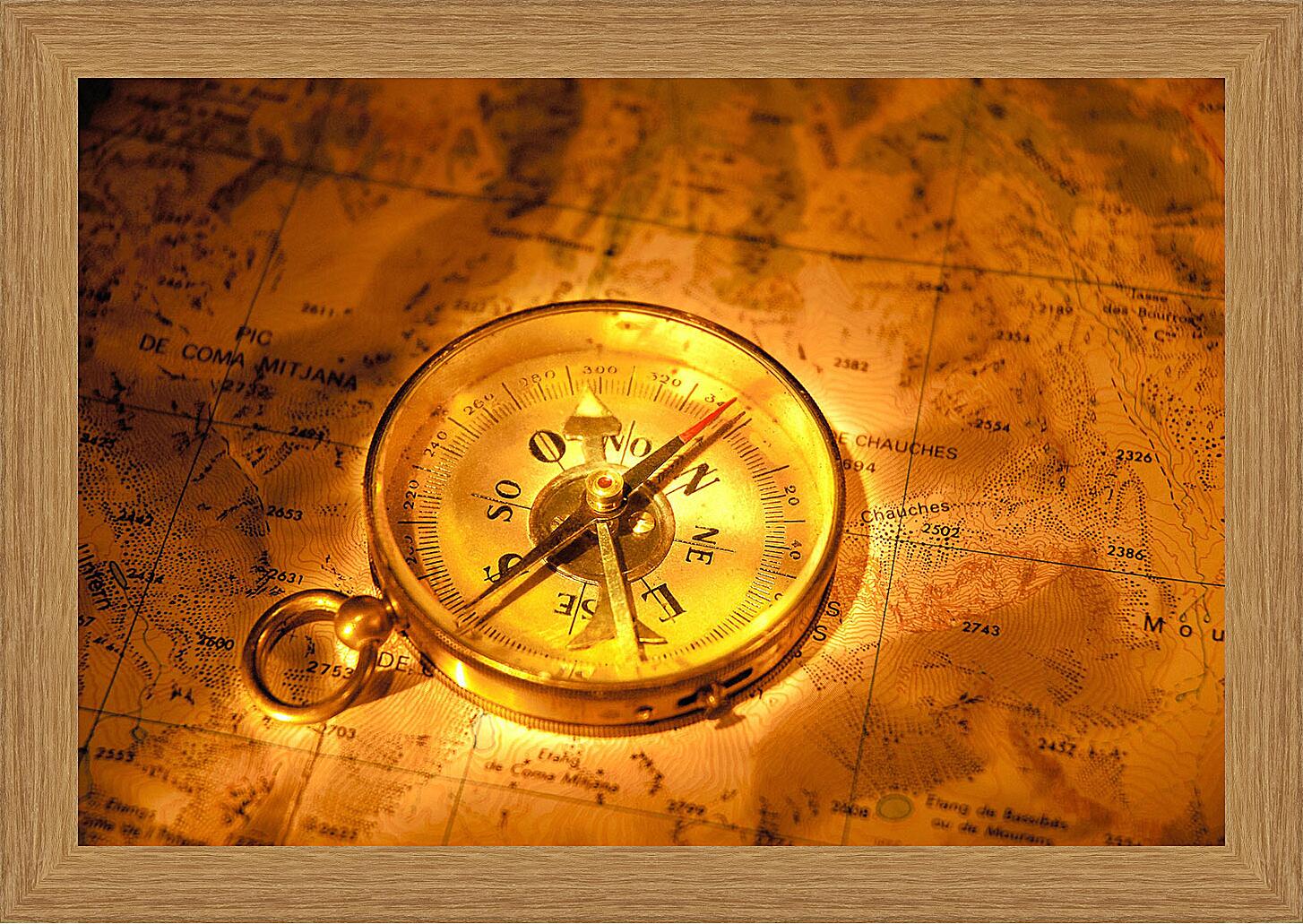 Картина - Карта с компасом
