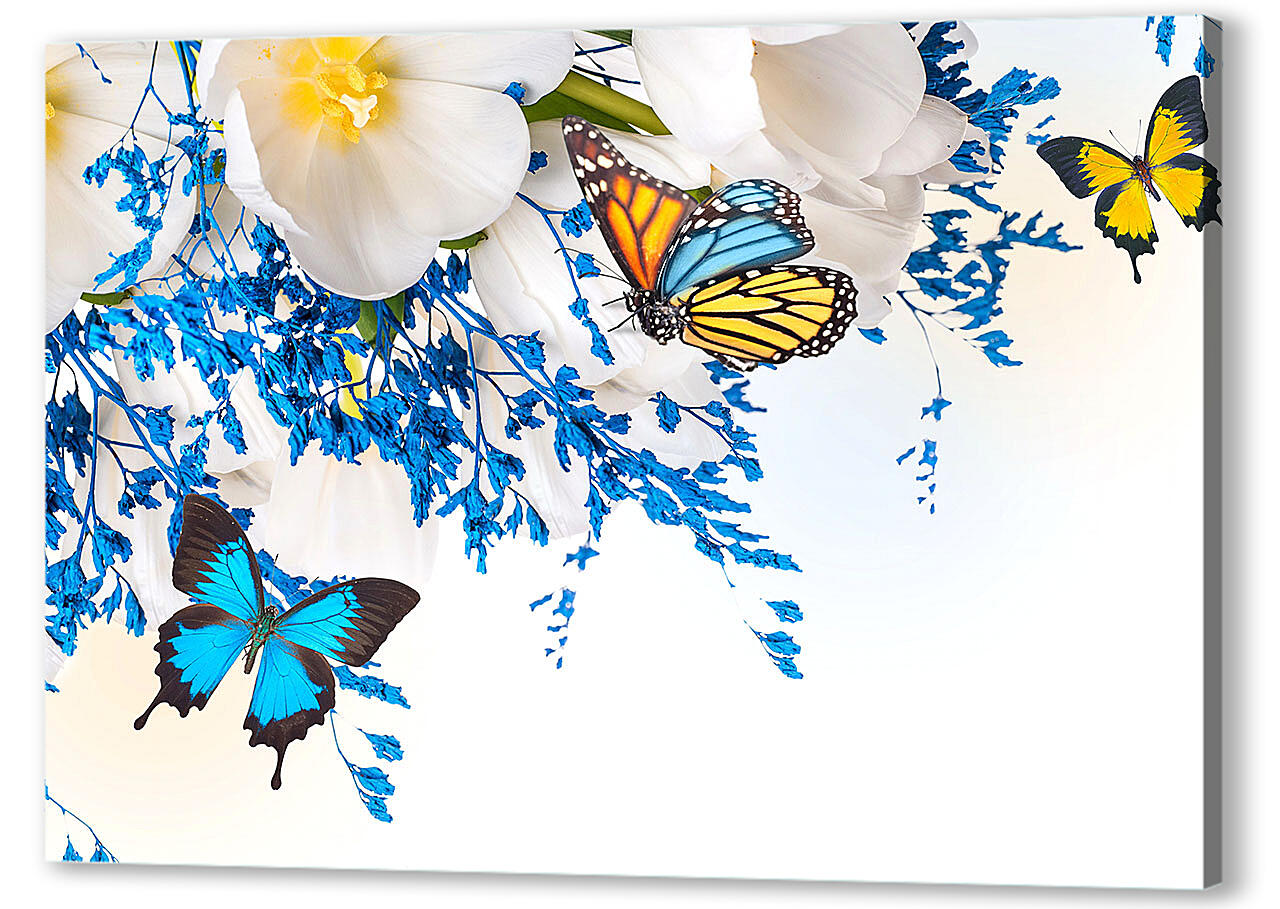 Постер (плакат) - Бабочки разных цветов
