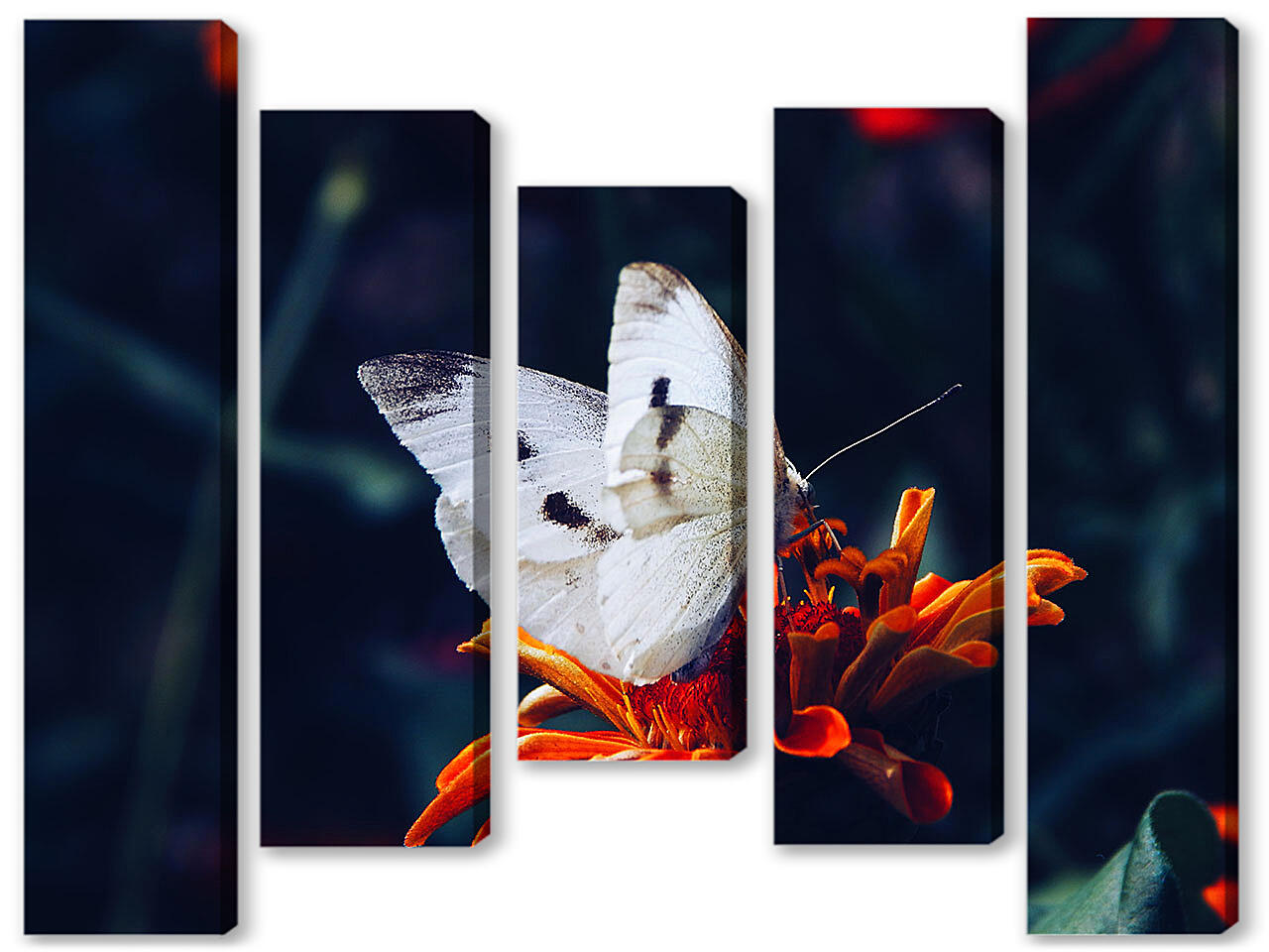 Модульная картина - Белая бабочка на цветке
