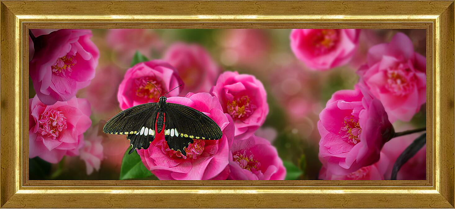 Картина - Красивая бабочка
