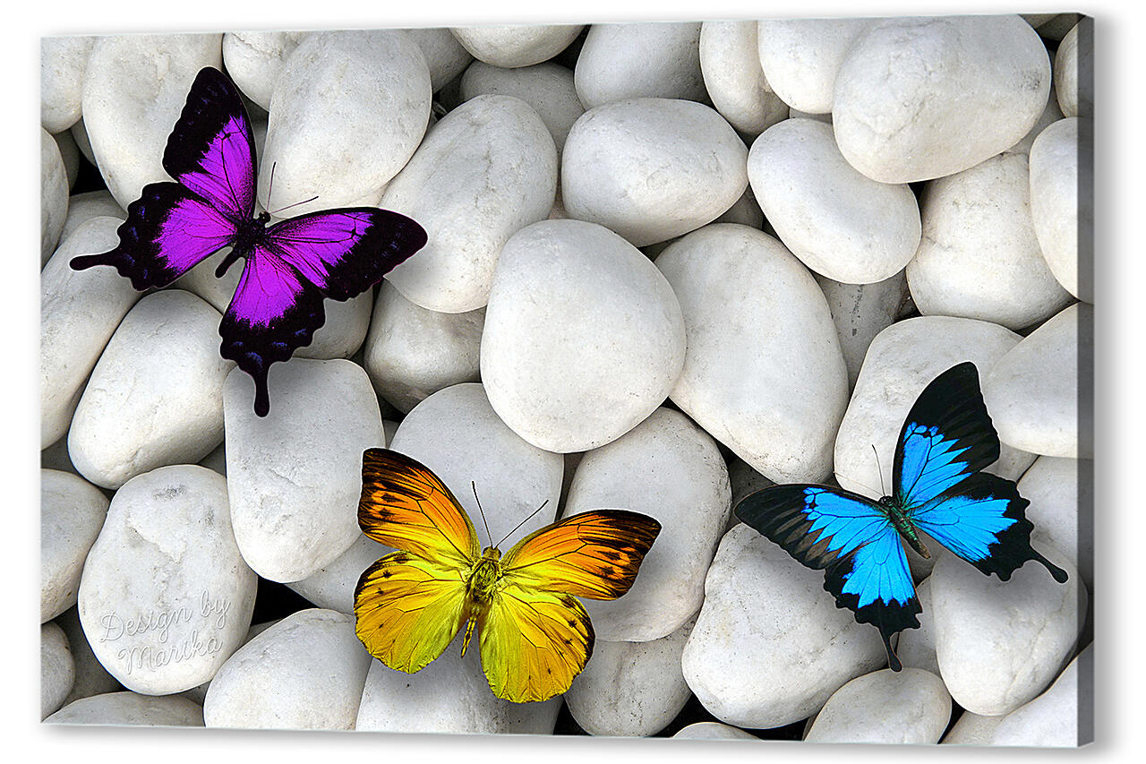 Картина маслом - Разноцветные бабочки на камнях

