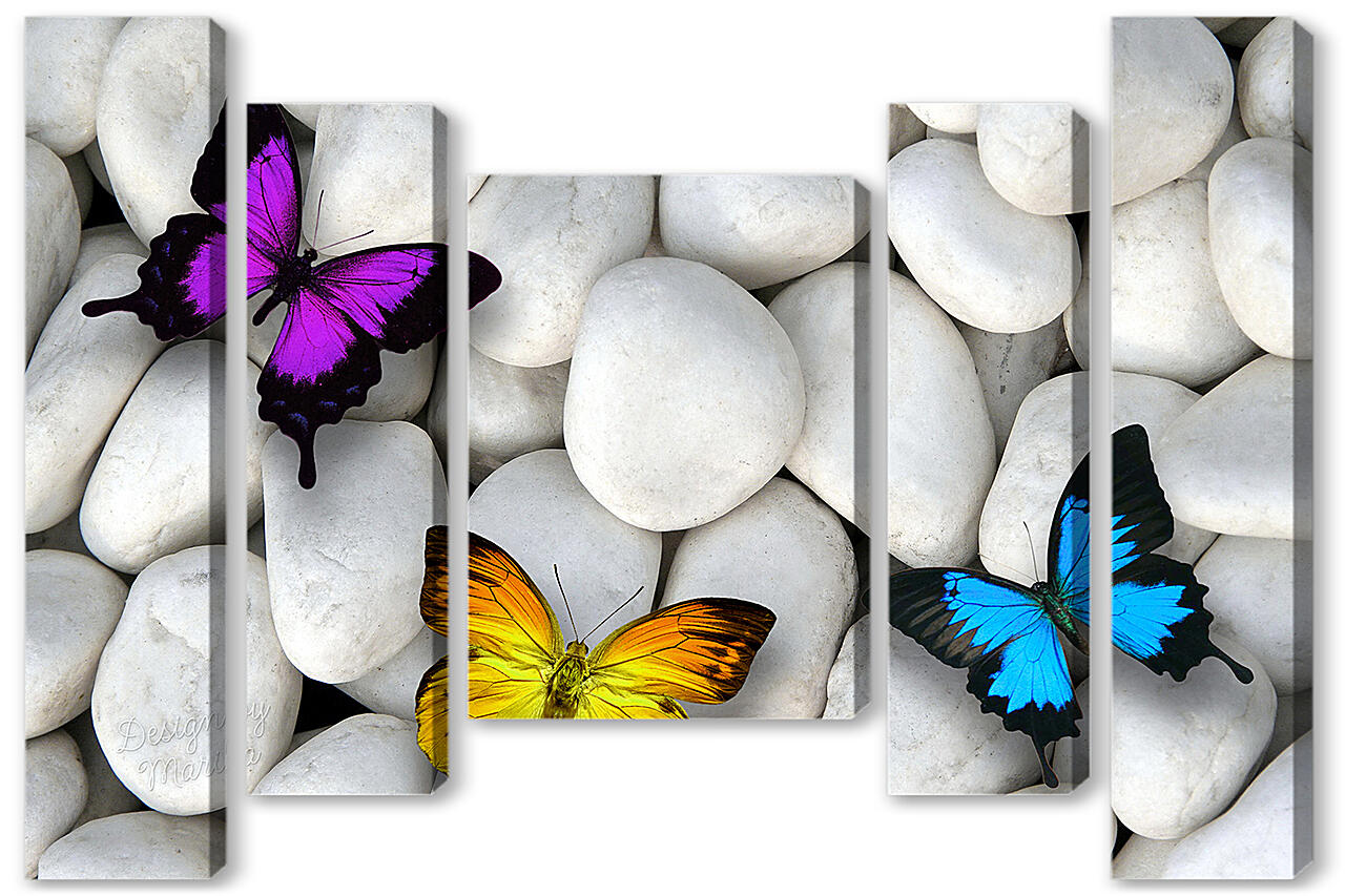Модульная картина - Разноцветные бабочки на камнях
