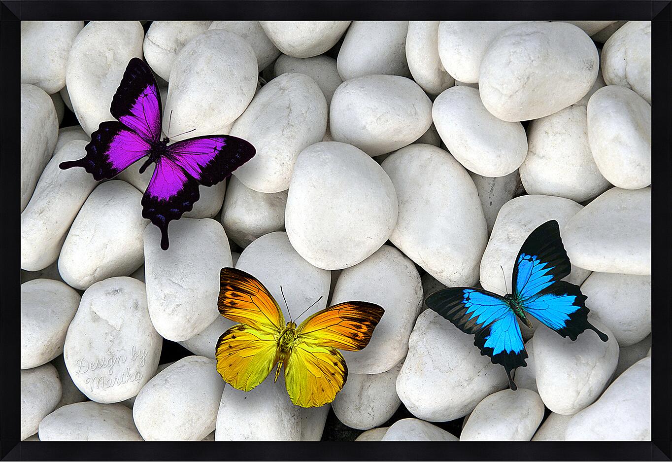 Картина - Разноцветные бабочки на камнях
