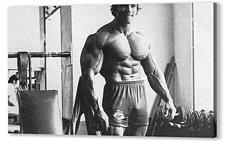 Арнольд Шварценеггер (Arnold Schwarzenegger)