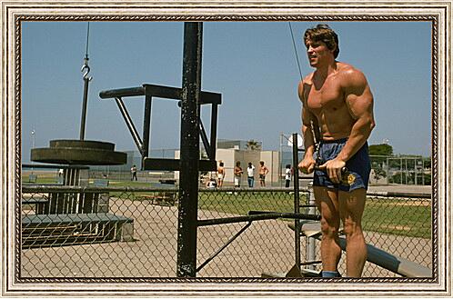 Картина - Шварценеггер Арнольд (Arnold Schwarzenegger)