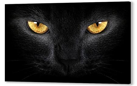 Картина маслом - Взгляд черного кота
