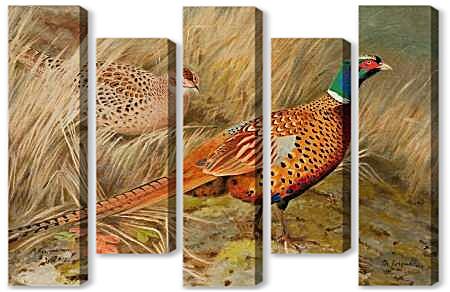 Модульная картина - Пара фазанов