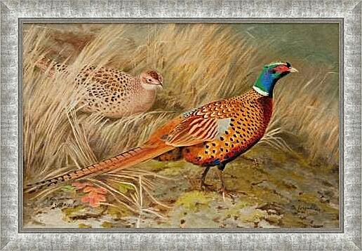 Картина - Пара фазанов