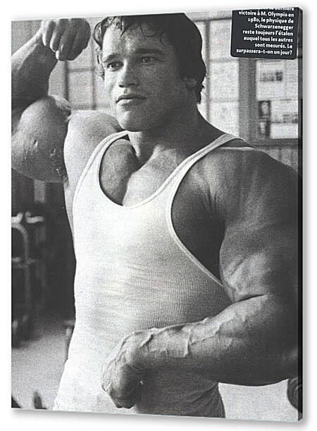 Арнольд Шварценеггер (Arnold Schwarzenegger)