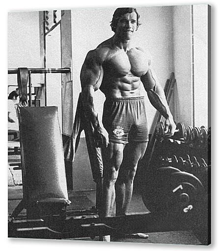 Арнольд Шварценеггер (Arnold Schwarzenegger)